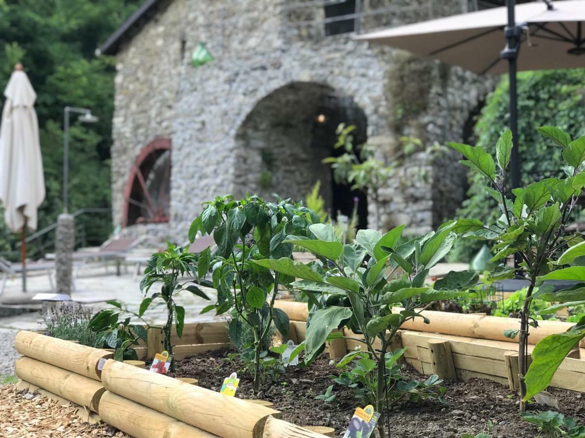 Old Mill Vila Pigna Exterior foto